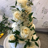 Pasha Taste Of Libanon Dryck