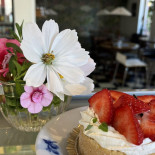 V Lindhés Bageri Konditori Ab Dryck