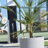 Karlstad City Golf Sommarro Ruff Karlstad Dryck