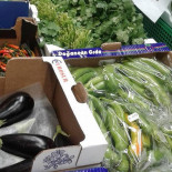 Gruvplan Livsmedel Mat