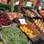 Gruvplan Livsmedel Mat