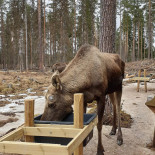 Majas Munkfors Restaurang Gatukök Utomhus