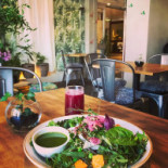 Zest Karlstads Gröna Oas Dryck