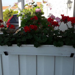 Bryngfjorden Bike Park Utomhus