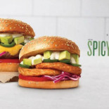 Max Karlstad Vaaxnaes Mat