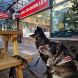 Karlstadgrillen Utomhus