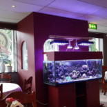 Restaurang Chaplin Inomhus