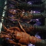 Gretas Mackor I Karlstad Ab Dryck