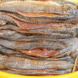 Max Karlstad Vaaxnaes Mat