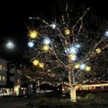 Storstugans Fritidsgård Och Café Utomhus