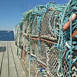 Morgans Fisk Utomhus