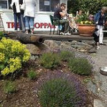 Tre Toppar Glasscafet Utomhus