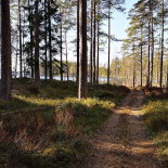 Korså Bruk Utomhus