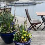 Bullandoe Marina Dryck