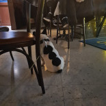 Le Bistro Utomhus