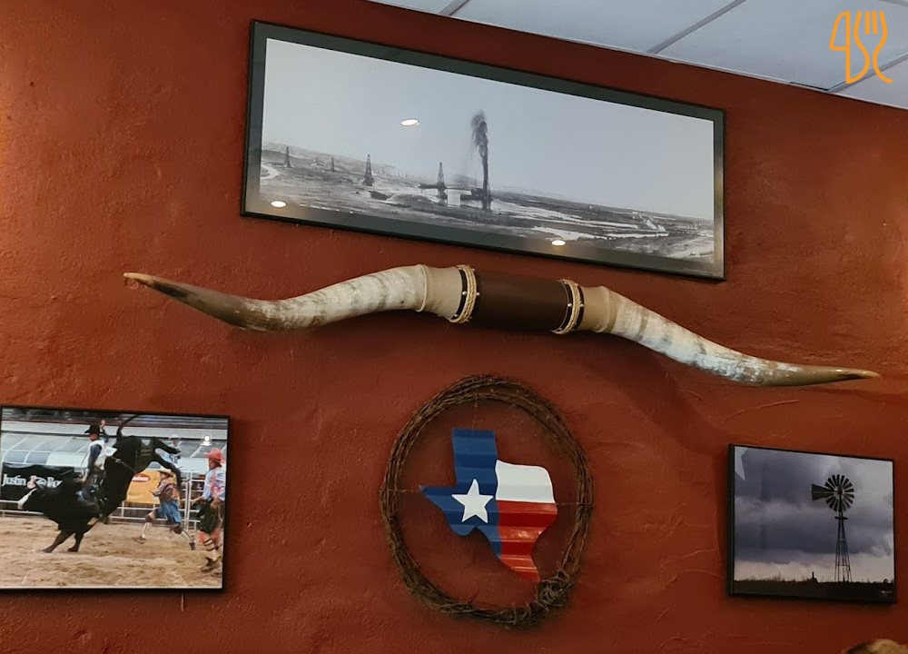 Texas Longhorn Södra Vägen Utomhus