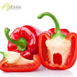Lê Anh Food Mat