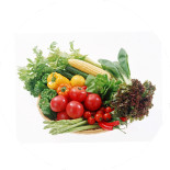 Lê Anh Food Mat