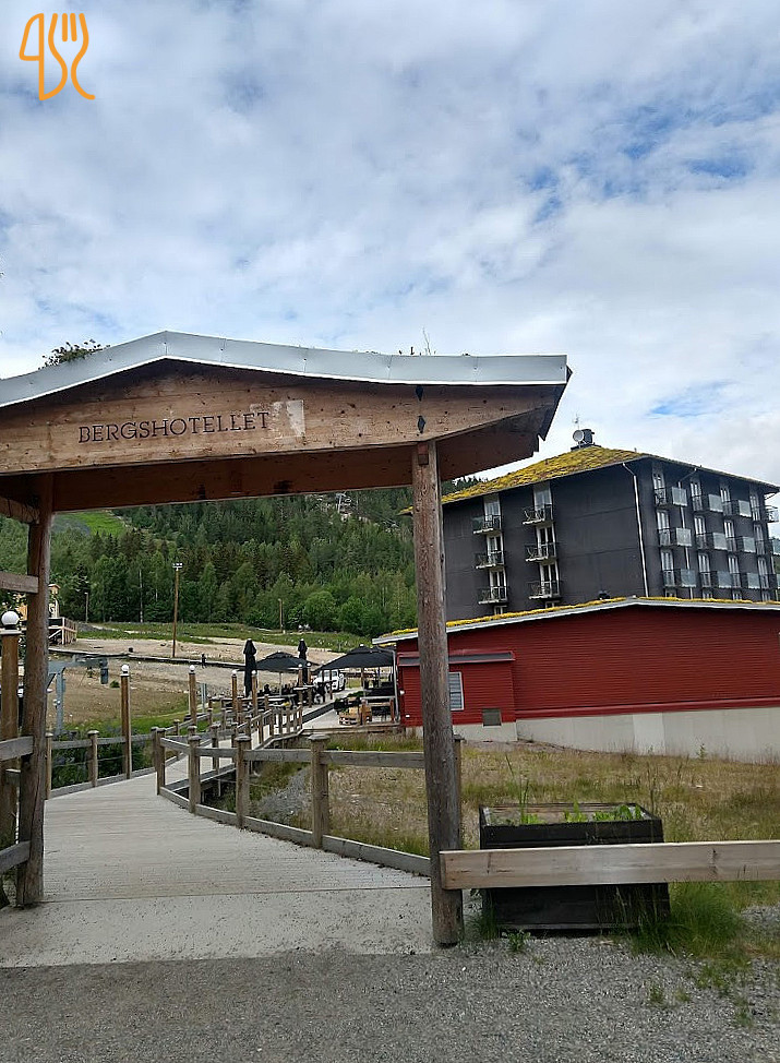 Restaurang Bergshotellet I Järvsö Utomhus