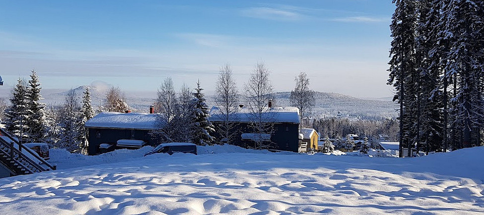 Restaurang Bergshotellet I Järvsö Utomhus