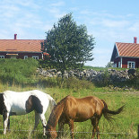 Café Lovisen Utomhus