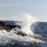 Nya Dannekrogen En Plats För Alla. Utö Utomhus