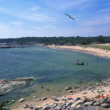 Nya Dannekrogen En Plats För Alla. Utö Utomhus