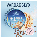 Lejonet Björnen Meny