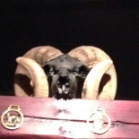 Black Sheep Arms Inomhus