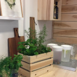 Saffran Vitlök Inomhus