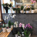 Hannas Pizza Kök Utomhus