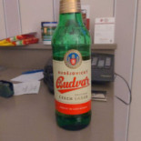 Best Western Plus Edward Mat