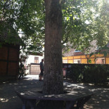 Bäckahästens Kaffeestuga Mat