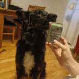 Ringsjöns Krog Wärdshus Mat