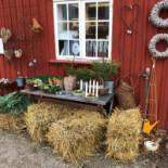 Röe Gård Butik Kafé Inomhus