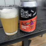 Gullspångs Pensionat Mat