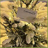 Terrassen Pubkök Mat