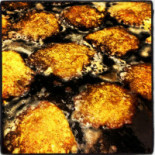 Kummin Restaurang Mat