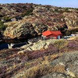 Restaurang Bryggvingen Mat