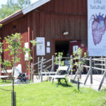 Hofsnäs Herrgård Utomhus