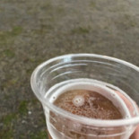 Spendrups Bryggeri Ab Mat