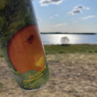 Sjön Bolmen Camping Mat