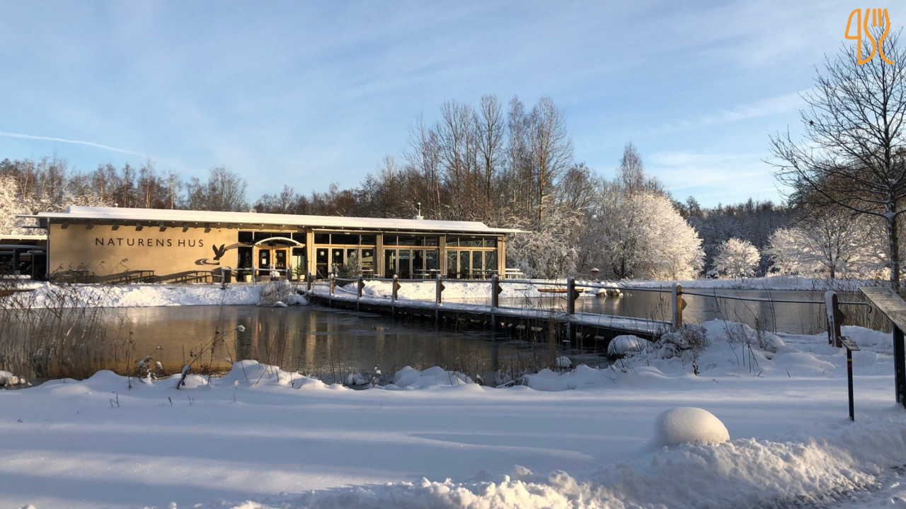 Naturens Hus Café Restaurang Arrangemang Inomhus