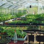 Rosendals Trädgård Mat