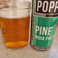 Sjön Bolmen Camping Mat