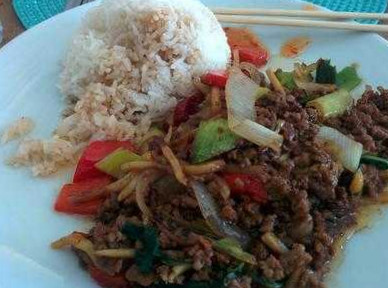 Arctic Thai Grill Mat
