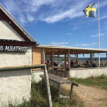 Bistro Albatross Mat