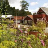 Skårs Gård Utomhus