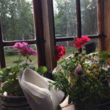Gammelgårdens Servering Utomhus