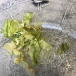 Von Troils Grill Mat